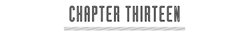 CHAPTER THIRTEEN