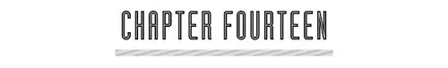 CHAPTER FOURTEEN