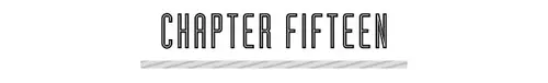 CHAPTER FIFTEEN