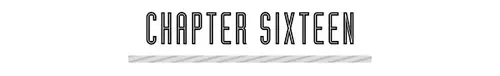CHAPTER SIXTEEN