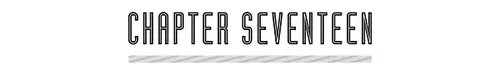 CHAPTER SEVENTEEN