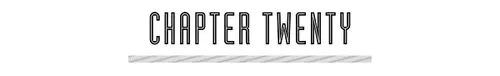 CHAPTER TWENTY