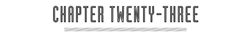 CHAPTER TWENTY-THREE