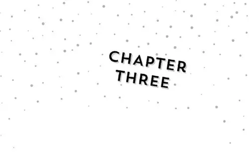 CHAPTER THREE