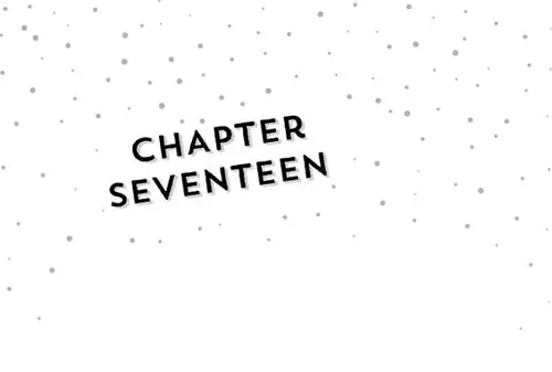 CHAPTER chApter SEVENTEEN SEVENTEEN
