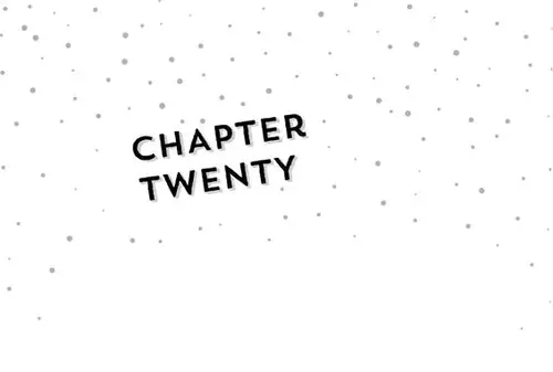 CHAPTER chApter TWENTY TWENTY