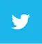 twitter-bird-blue-on-white