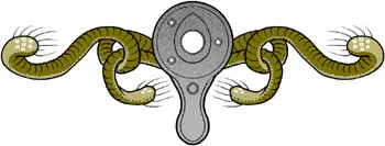 Images