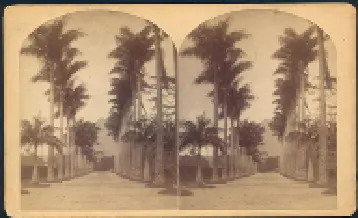 Photograph 1