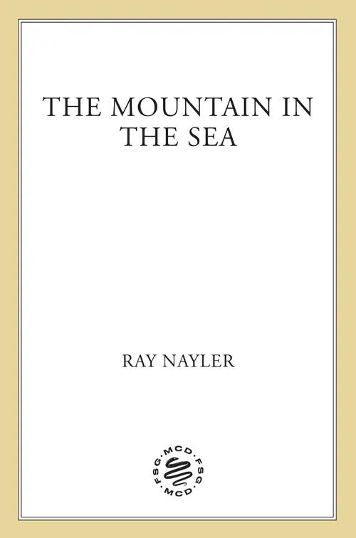 Cover: The Mountain in the Sea by Ray Nayler