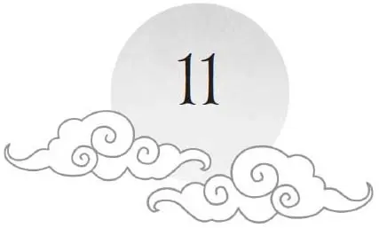 Chapter 11 and sun motif