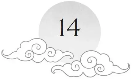 Chapter 14 and sun motif