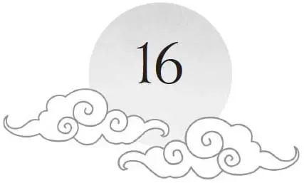 Chapter 16 and sun motif