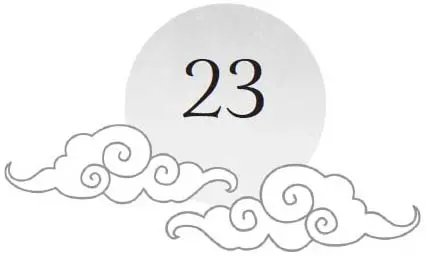 Chapter 23 and sun motif