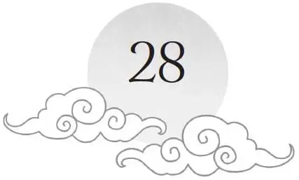 Chapter 28 and sun motif