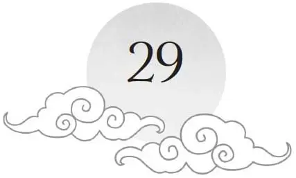 Chapter 29 and sun motif