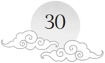 Chapter 30 and sun motif