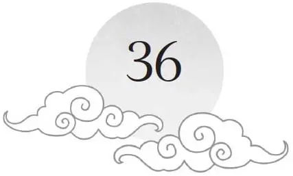 Chapter 36 and sun motif