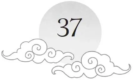 Chapter 37 and sun motif