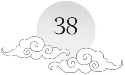 Chapter 38 and sun motif