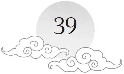 Chapter 39 and sun motif
