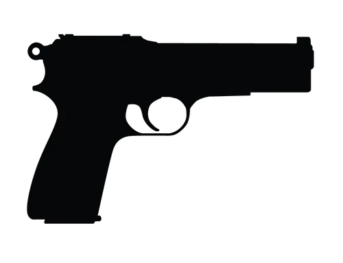 Gun