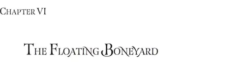 CHAPTER VI: THE FLOATING BONEYARD