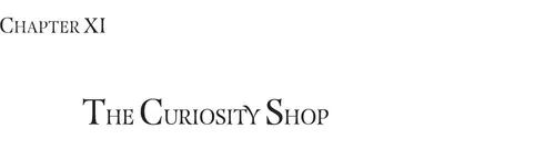 CHAPTER XI: THE CURIOSITY SHOP