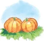Pumpkin_Patch_8_8_interior_0004_001