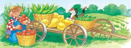 Pumpkin_Patch_8_8_interior_0005_001