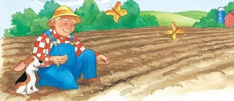 Pumpkin_Patch_8_8_interior_0007_001