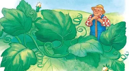 Pumpkin_Patch_8_8_interior_0009_001
