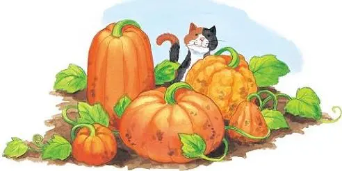 Pumpkin_Patch_8_8_interior_0010_001