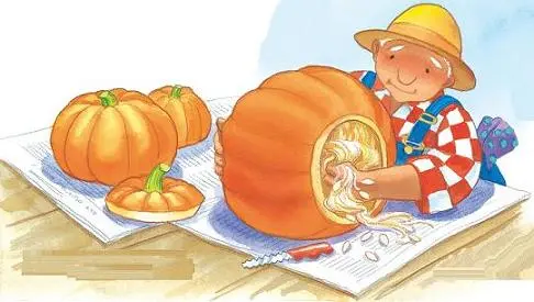 Pumpkin_Patch_8_8_interior_0012_001