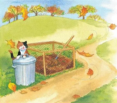 cat