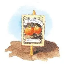 Pumpkin_Patch_8_8_interior_0017_001