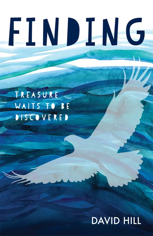 Cover image for Finding