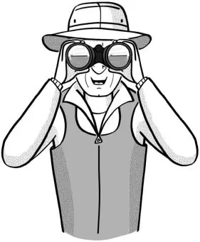 Image Missing