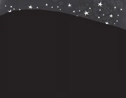 Image Missing
