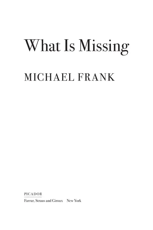 What is Missing by Michael Frank