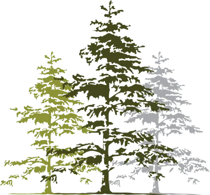 3 Trees