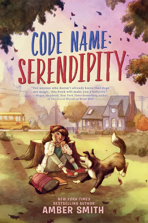 Cover for Code Name: Serendipity, Author, Amber Smith