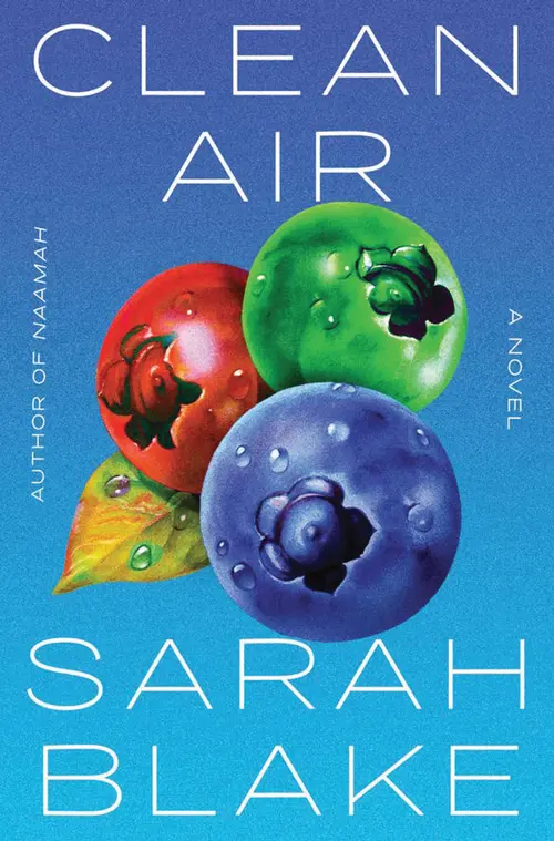 Cover: Clean Air: A Novel